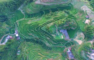 大力发展生态旅游 拓展文旅消费新蓝海 