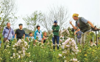 坚定走在培育绿色公民的道路上