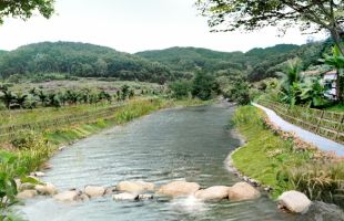 海南五指山森林保育与水土保持修复项目有序推进