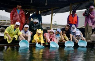 深圳第十二届增殖放流公益活动举办，55万尾鱼虾苗放归海洋 