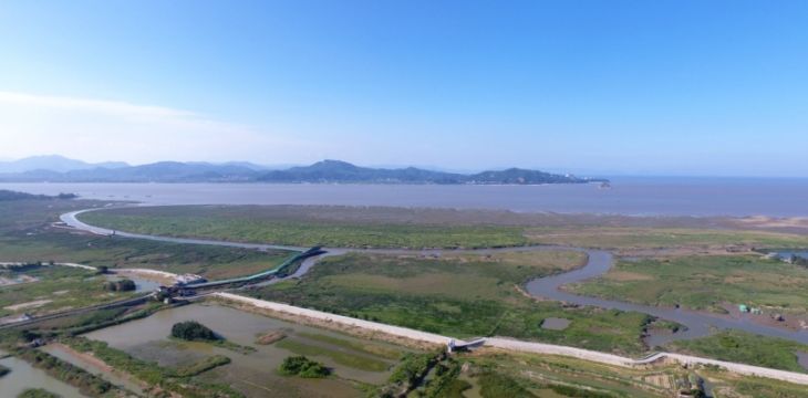 福建闽江河口湿地国家级自然保护区完成确权登记