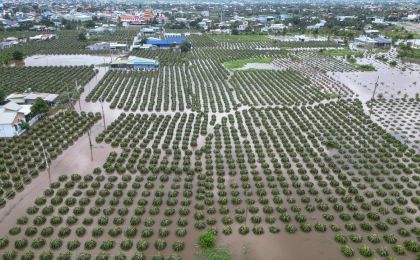 新加坡智库报告：东南亚民众对气变关注度下降，更关心粮食和生计