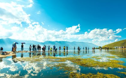 全国林草湿荒普查地类对接工作推进会召开