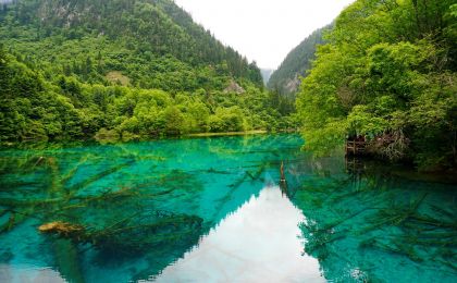 建设人与自然和谐共生的美丽中国