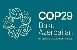 COP29开局王炸，我们为什么需要一个全球碳市场