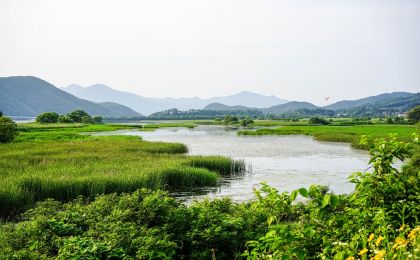 国家林草局与香港渔农署共谋湿地保护