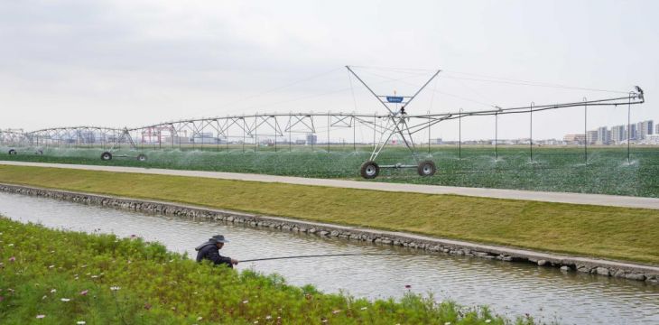 浙江岱山：智慧农业释放蓬勃潜能