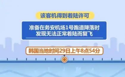 韩国客机悲剧：撞墙前六分钟接鸟情预警 179人遇难