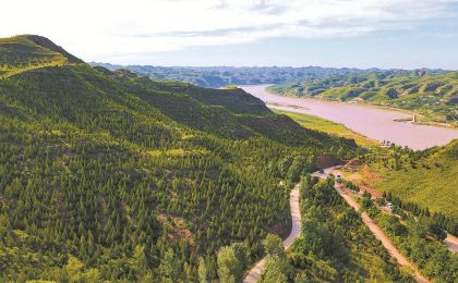 全力挺进扩绿主战场——“绘就绿水青山新画卷”系列报道之一