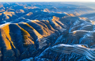 在黄土塬播下片片新绿   