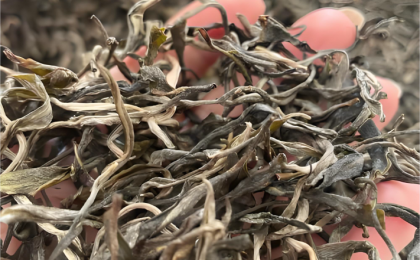 有声有色讲述中国茶的故事