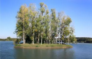 “水账本”里算出发展经    