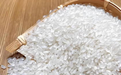 一粒大米的碳中和之旅    