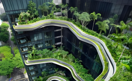 建筑变“绿”的秘密  