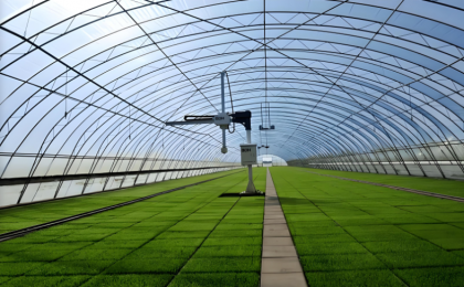 农业社会化服务体系不断完善 绘就现代农业新图景