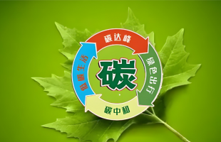 向“碳”而控！这场“论”道聚焦节能新路径  