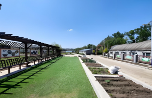 甘肃：这些科技小院助农有妙招  