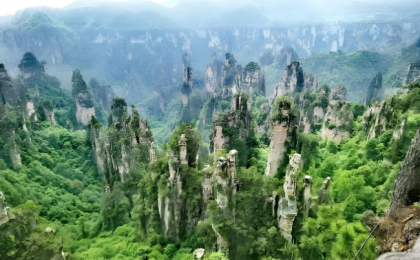 “荒野求生赛”为何屡被叫停？