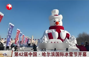 冰天雪地 共创未来    第42届中国·哈尔滨国际冰雪节开幕  