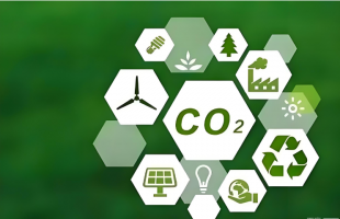 2025年全国碳市场运行平稳有序