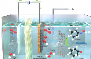 让毒气变资源 “离场电催化”技术问世   
