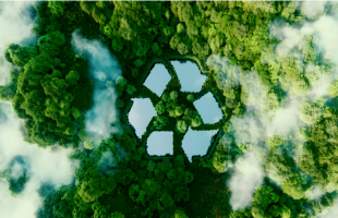 开展绿色消费是践行绿色低碳发展理念的重要抓手