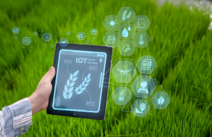 “全球大模型第一股”花落中国 北京大模型企业在港交所挂牌上市  