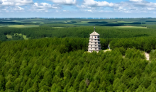 塞罕坝机械林场有了国际“绿色通行证”  