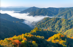 “绿水青山”有了量化标准 生态产品总值核算技术指南国家标准发布