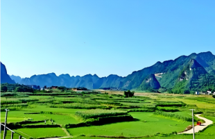 完善基础设施，农村有了新变化   