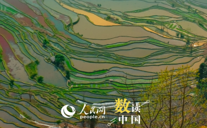 覆盖范围占国土面积80.3% 国家水网建设成果丰硕