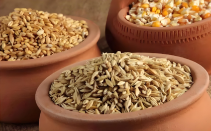 2025年我国三大粮食作物化肥利用率稳步提升 