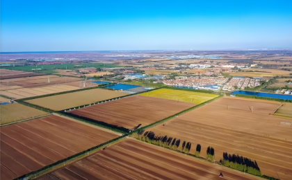 科技改良让盐碱地变身“致富田”  