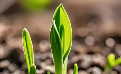 让社会生机勃勃井然有序