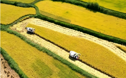 夯实“压舱石”，加快农业农村现代化  