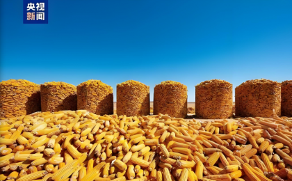 速览2026年中央一号文件