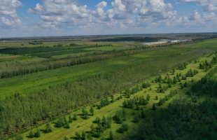 吉林“十四五”完成国土绿化1190万亩  