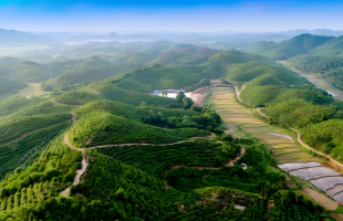 自然资源部、国家林草局通报违法违规典型问题  