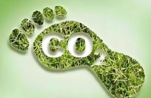 创造“中国碳尺”，实现碳核算“书同文，车同轨”  