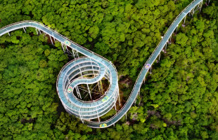 在山东，处处感受文旅魅力  