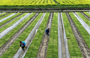 春耕春播气象服务全面启动 