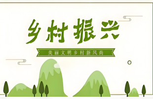 习近平总书记引领中国从脱贫攻坚迈向乡村全面振兴      