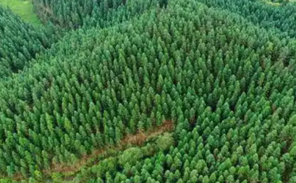 四部门：加快推动科技保险高质量发展