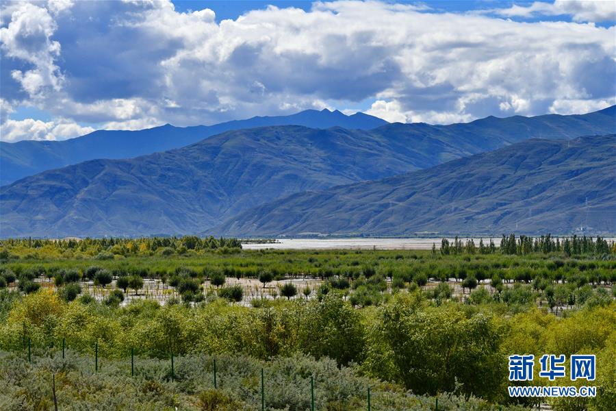 荒漠变绿洲6.jpg 荒漠变绿洲6.jpg