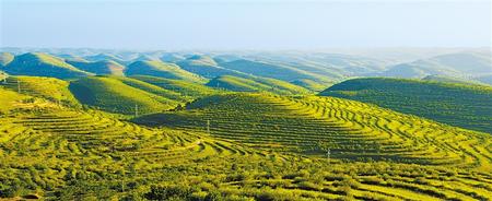 20191118165025448985338.jpg 20191118165025448985338.jpg