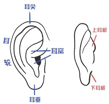 微信图片_20200318200723.jpg