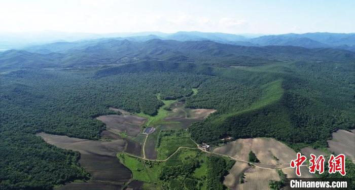 微信图片_20200407205736.jpg 微信图片_20200407205736.jpg