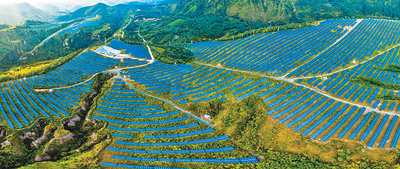 1597519552648_1 (1).jpg