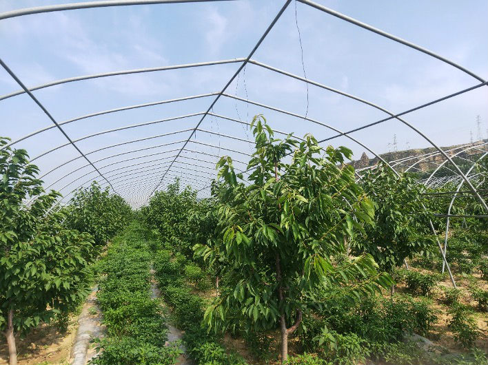 MAIN202008261545000413547810623 (1).jpg MAIN202008261545000413547810623 (1).jpg