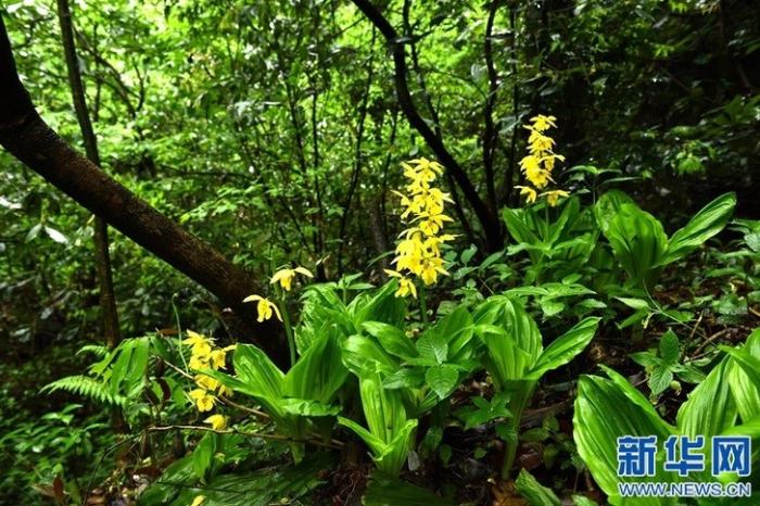 20200813175415203152929_1.jpg 20200813175415203152929_1.jpg